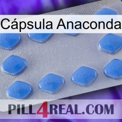 Cápsula Anaconda 21